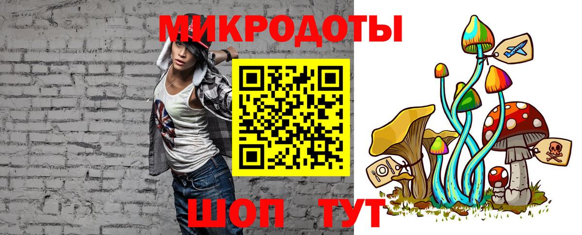 Галлюциногенные грибы Cubensis Владимир