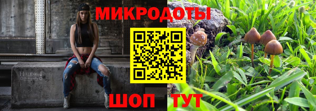 Владимир  Галлюциногенные грибы мухоморы  Вход с VPN 